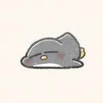 dmwildangel's tweet photo. おはようございます！ https://t.co/UHgwpu4NYk