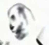 WaltenLine's tweet photo. I've got a theory... its a little out there believe you me, but it regards to who bon is and how Jack might have caused everything to happen.

In Ep 5 we finally get to see characterization of Jack for real this time and boy is he... different. you can tell he's a good guy but he's clearly holding back emotions. Not emotions of sadness or grief like Rosemary, no, I think Jack is angry. We heard it first in TWF 4 that he openly threatens Felix with death, but i don't think this was a one off thing. 

to put a long story short I think personally that Jack has killed people before (I know a crazy thing to say). Jack is never home according to Sophie, Over time with the findjackwalten site and now this episode that Jack is very interested in hunting. What if it weren't just animals but he hunted people? Now im not saying Jack is some edgy serial killer OC, but I wouldn't put it past him that his anger for Felix made him do some crazy things.

Bon to me comes as a power hungry vengeful ghost who wants nothing but to destroy things that Jack loves, meanwhile keeping things he hates alive. for example, how cruel would it be to fake a phone-call to your wife to convince her you ran away amidst the most grieving and heartbreaking time of her life. AND THEN comfort her as the bon animatronic because you see she associates Bon the rabbit with her husband who is now missing. ASWELL as convincing her to confess her love to you as you turned her into sha. And for an example for Bon keeping things Jack hates alive, why Isn't Felix dead yet? Felix killed Jack's kids and its clear that both Jack and Rosemary hate the man now. I wouldn't be shocked if Jack was planning to kill Felix (which is why he never pressed charges).

Now why would this spirit be so cruel against a man who has supposedly done no wrong? because jack is not as innocent as the missing posters, and the websites, and the witness testimonies make him out to be. Jack has literal blood on his hands.

Another thing, There is a recurrence of the well. An Old hand-made stone well are not that uncommon in Forest areas. what if Jack disposed of people in this well and burned the remains in it. Its clear that Bon is associated with the well, and also themes of remembrance like in Ep 3.

I KNOW this sounds super crazy but something about Jack is that he's been hinted to be at least somewhat "offputting." I think he's a loving husband, and good but absent father, but I also think he has dirt under his nails.

Jack had to have killed the person who became Bon because why would any of this stuff be happening? Edd and Molly died sure but they could went to the after life if it weren't for they're vengefullness against Felix. Maybe bon runs on the same fuel as the kids do... Vengeance