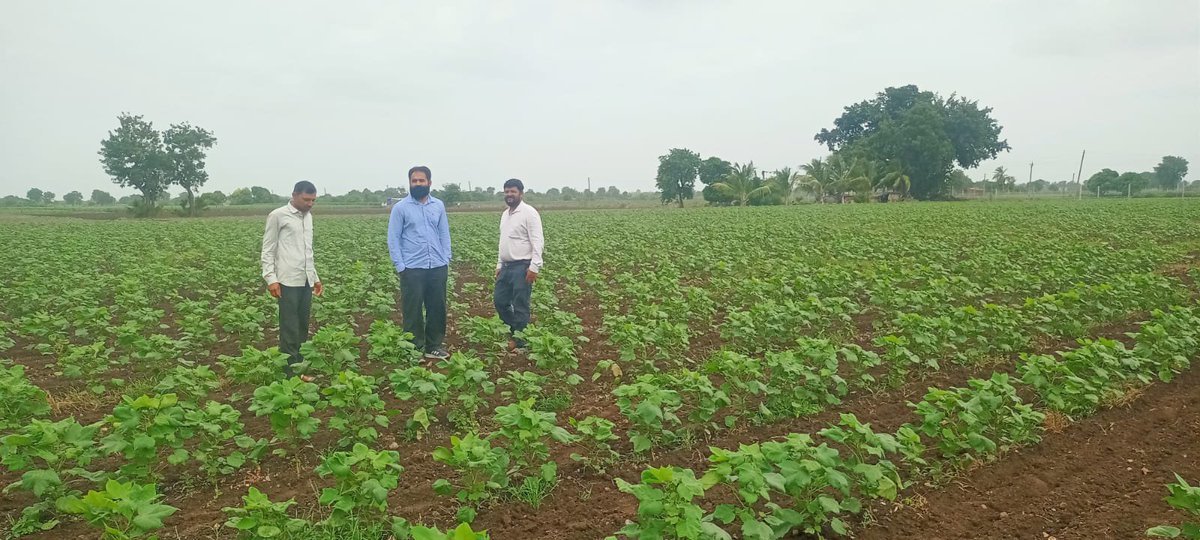 agrisvkd's tweet photo. આજરોજ સાવરકુંડલા તાલુકાના હાથસણી ગામે તાલુકા અમલીકરણ અધિકારી, વિસ્તરણ અધિકારી અને ગ્રામસેવકો દ્વારા ખાસ રોગ જીવાત અને પાક પરિસ્થિતિ અંગે ફિલ્ડ વિઝીટ કરવામાં આવેલ અને ખેડૂતોને જરૂરી માર્ગદર્શન આપવામાં આવેલ.
@agriamreli01 @GujAgriDept @ddoamreli @Infoamreligog https://t.co/C5SOQzRBHu