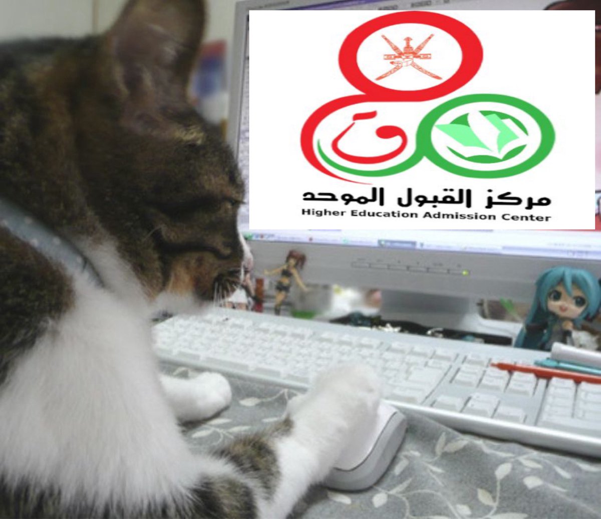 rosir7i's tweet photo. تشييكه أخيره قبل ما يسكر https://t.co/q2wi6LoRF1
