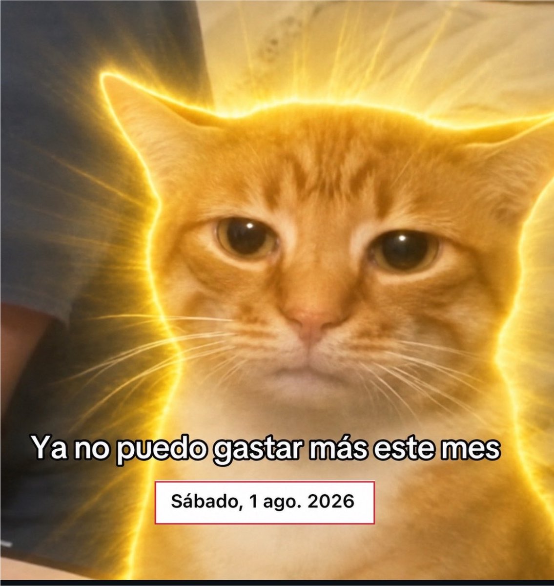 skereunpesado's tweet photo. https://t.co/JBRjpsIYWu