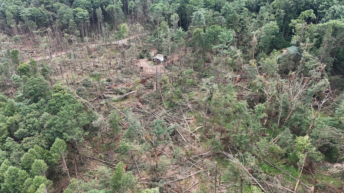 nickwilkeswx's tweet photo. I’m in Altoona this weekend for a cookout, so I figured I’d take my drone over the damage path of the Huntingdon Furnace, PA EF-2 that happened on July 18th. The entire hillside was mowed over. #CTPwx #PAwx https://t.co/EBsCcTHGVg