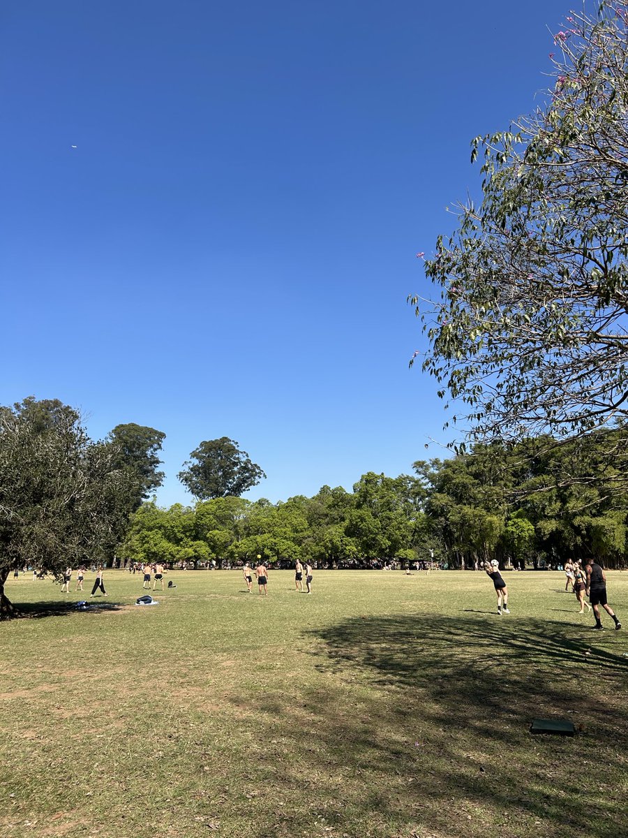 KeesePedro's tweet photo. Ibirapuera no “inverno” 🫶 https://t.co/voXVOnElW4