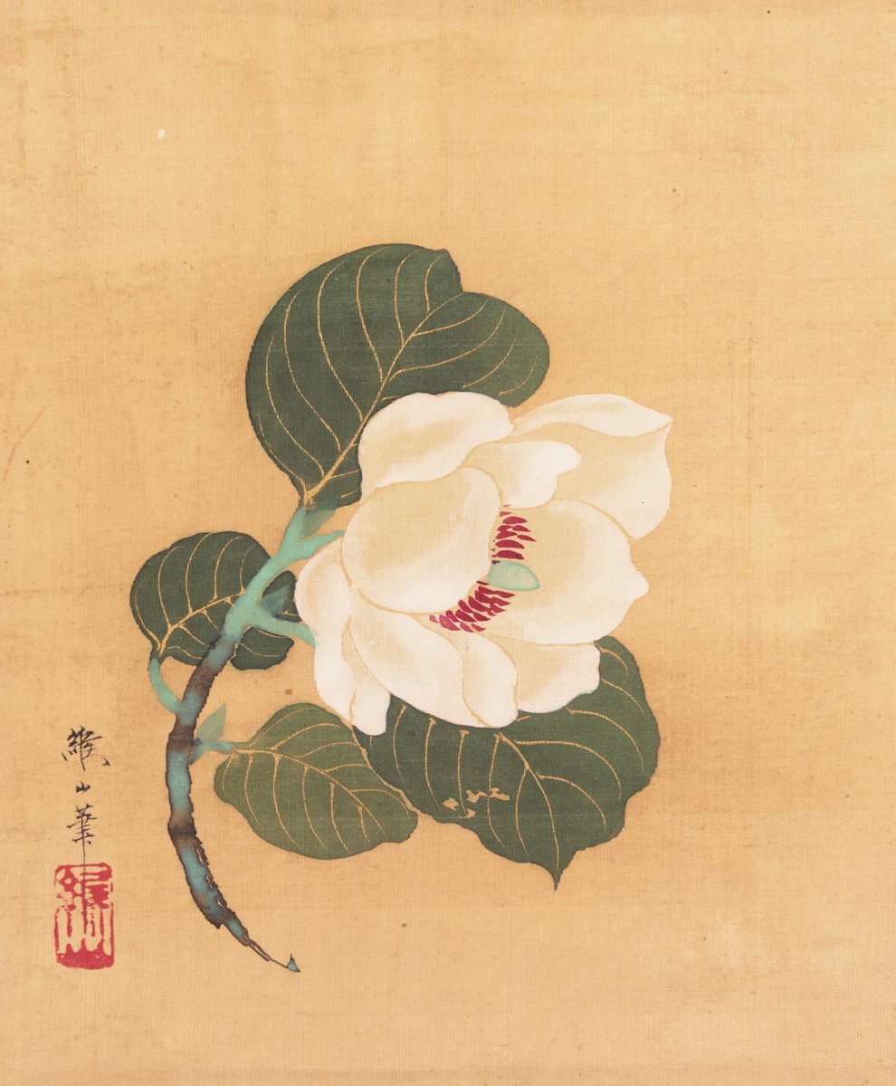 JapanTraCul's tweet photo. Camellia Japonica, by Nonoyama Kozan, first half 19th century https://t.co/OJkhV4sZDg