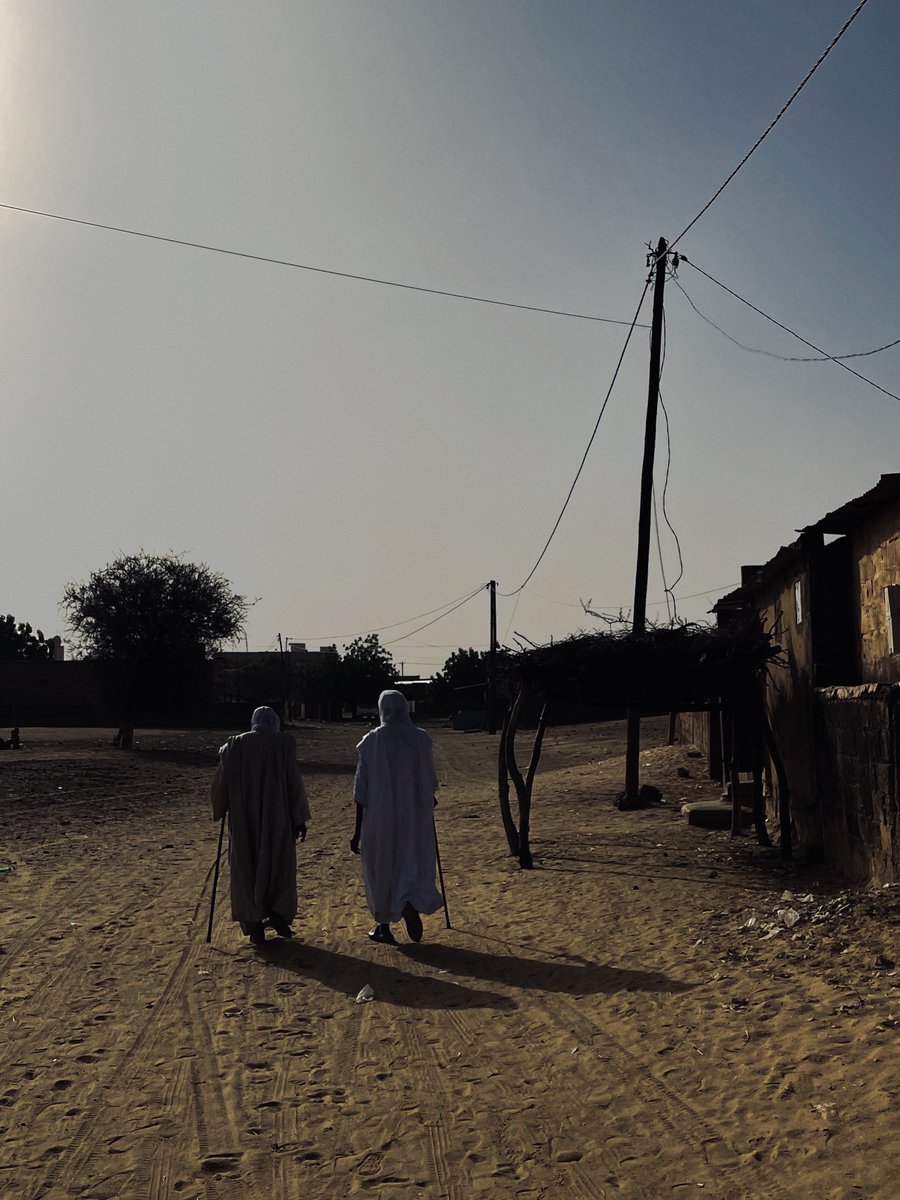 Amadou mbow tweet media