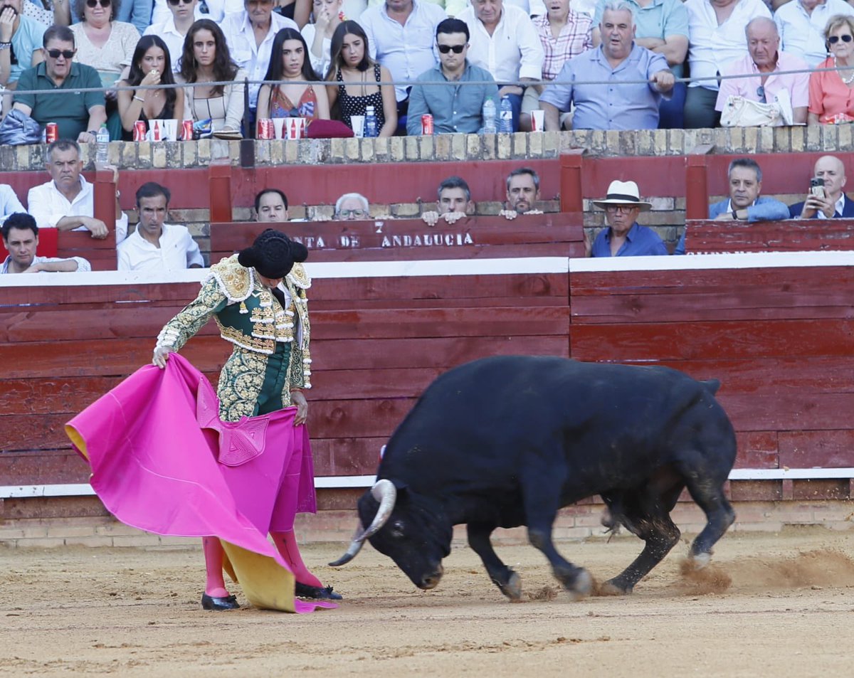 InfoMAPerera's tweet photo. 𝗜𝗡𝗗𝗨𝗟𝗧𝗢 a 𝗢𝗥Í𝗡𝗜𝗖𝗢 nº𝟭𝟬𝟭 de Juan Pedro Domecq y 𝗗𝗢𝗦 𝗢𝗥𝗘𝗝𝗔𝗦 simbólicas en el primero de la tarde en 📍Huelva. 🦾

#perera #pasión https://t.co/FIwiv0zmTb