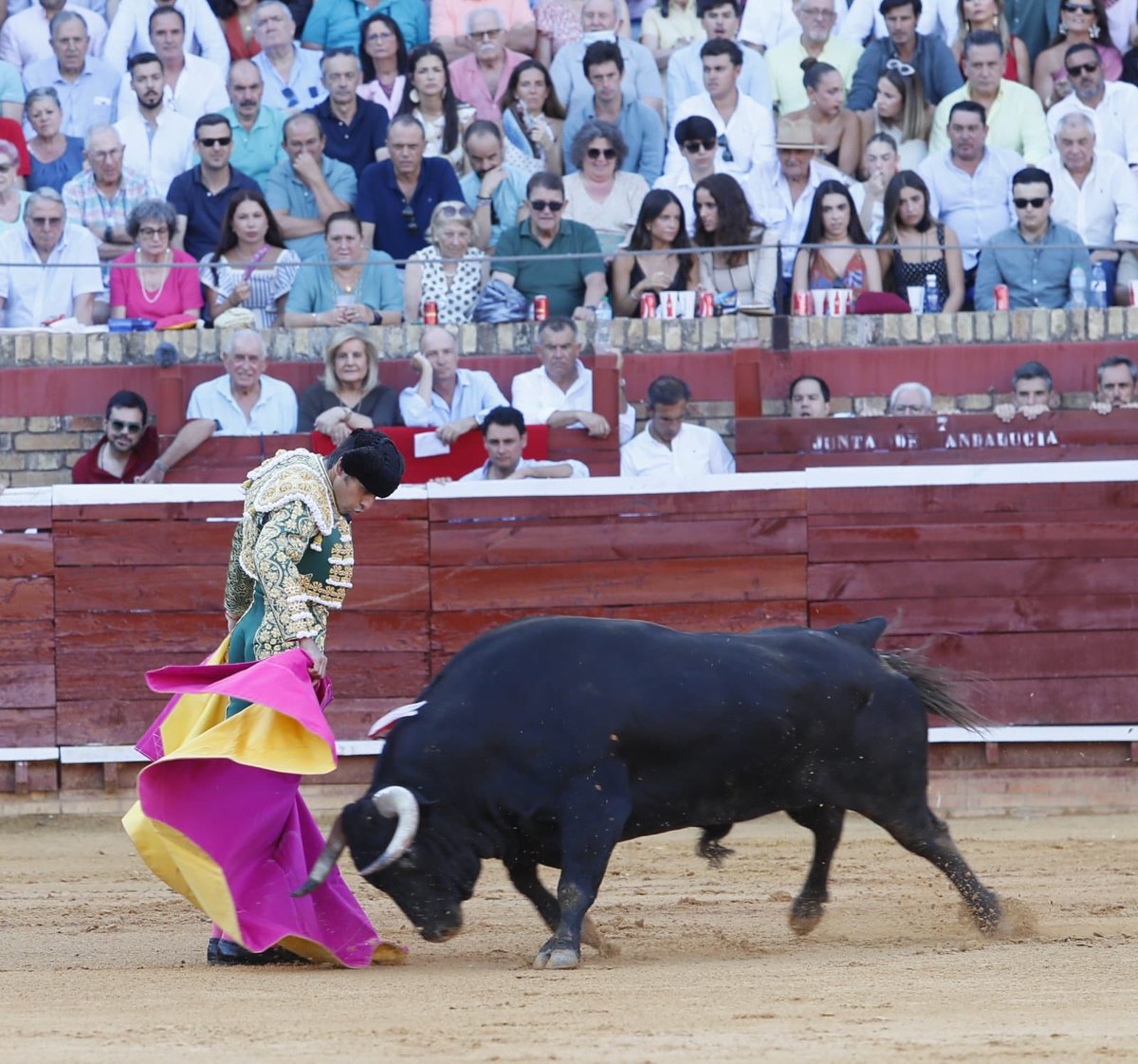 InfoMAPerera's tweet photo. 𝗜𝗡𝗗𝗨𝗟𝗧𝗢 a 𝗢𝗥Í𝗡𝗜𝗖𝗢 nº𝟭𝟬𝟭 de Juan Pedro Domecq y 𝗗𝗢𝗦 𝗢𝗥𝗘𝗝𝗔𝗦 simbólicas en el primero de la tarde en 📍Huelva. 🦾

#perera #pasión https://t.co/FIwiv0zmTb