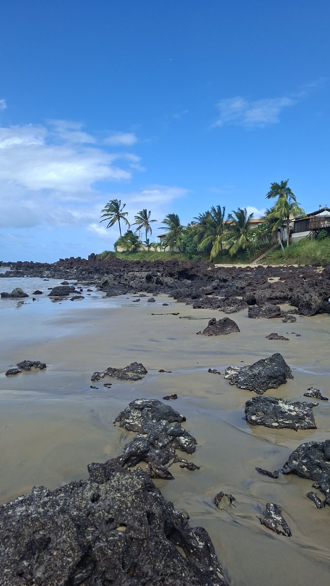 pedrodavi77's tweet photo. Uma paz essa praia hoje
Postei no insta também
https://t.co/BbCfD45mkQ https://t.co/NciGrE7paC