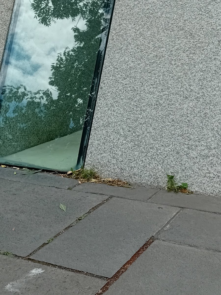 aaron_cr1's tweet photo. The National Memorial (An Dún Cuimhneacháin) to members of the Defence Forces this afternoon.

Weeds growing at the memorial itself and kerbs, multiple stains on the stones around the memorial and a wheel of bike at the flowerbed.

@DubCityCouncil @opwireland https://t.co/7jEXz5MSkP