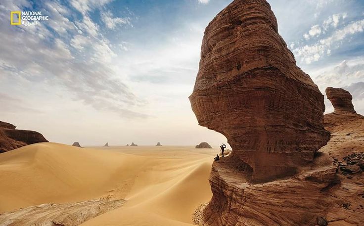 Achta_Saleh26's tweet photo. إنيدي وتيبستي وبحيرة تشاد… تشاد عندها مناظر طبيعية وثقافة ممكن تنافس وجهات عالمية🇹🇩❤️

لكن السياحة تحتاج أمن، طرق، بنية تحتية وتسويق.

لو اتعملت صح السياحة ممكن توفر وظائف وتدخل عملة صعبة وتعرف العالم بتشاد بطريقة مختلفة.

#Tchad #Tourisme https://t.co/U4idp6S5JV