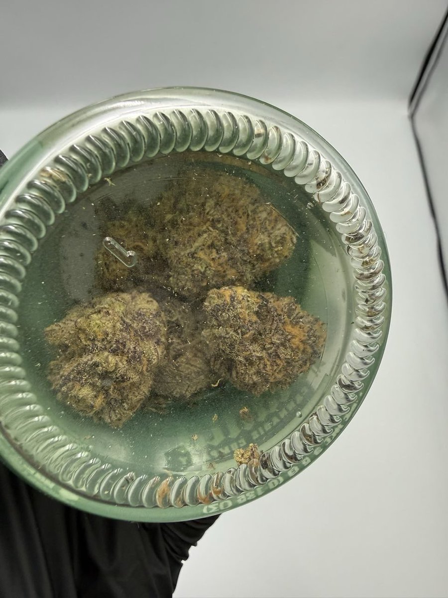 XthaPlug001's tweet photo. ⬆️ PLANTA CANNABIS COMPANY 🌱‼️
PRE-PACKAGED FLOWER BY 1/8THS (3.5G) ‼️
Actively replying DMs📲
Delivery 🚚💨
#Dallas #DTX #DallasFreaks #DallasMeetups #DallasMeets #texas #texasgirls #dallasgirls #Dallasdowntown #ATX #Dallasweed #DallasPlug #DallasCowboys   #Zaza #Exotics #ZaTWT https://t.co/8poXo6zbwF