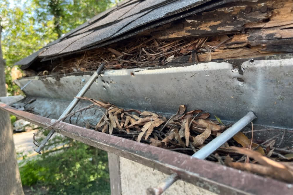 integrity1roof's tweet photo. Expert Gutter Repair Services Near Me: Your Complete Guide to Local Solutions…
VIEW TIPS... https://t.co/EOF4HIkXST

#gutters #gutterreplacement #guttermaintenance #gutterinstallation #guttersolutions #cincinnati #cincinnatiOhio #LebanonOhio #northernkentucky #NKY https://t.co/XwhmoHQIDk