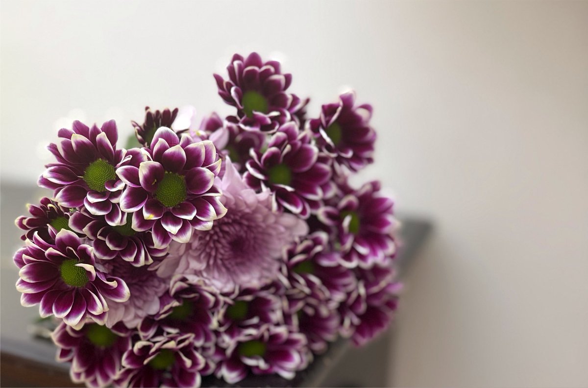 meem2ah's tweet photo. "الجميل غريب دائماً ."

🫀🌸 https://t.co/L6qoKovIJx
