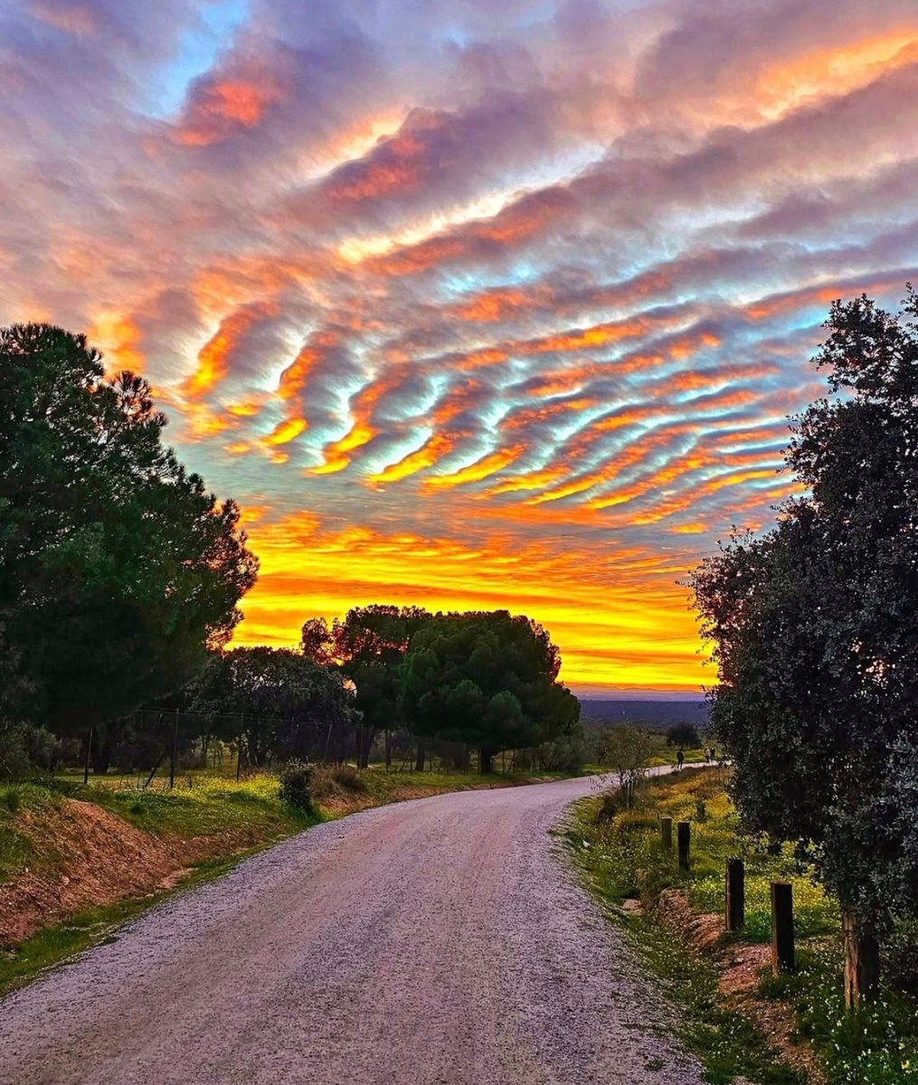 inversobrio's tweet photo. «Sobre todo, no pierdas las ganas de caminar.
Cada día, caminando, alcanzo mi bienestar cotidiano y dejo atrás cualquier enfermedad; caminando he llegado a mis mejores pensamientos, y no conozco pensamiento tan pesado que uno no pueda alejarse de él a pie».
—Søren Kierkegaard. https://t.co/TOuRuRZeOQ