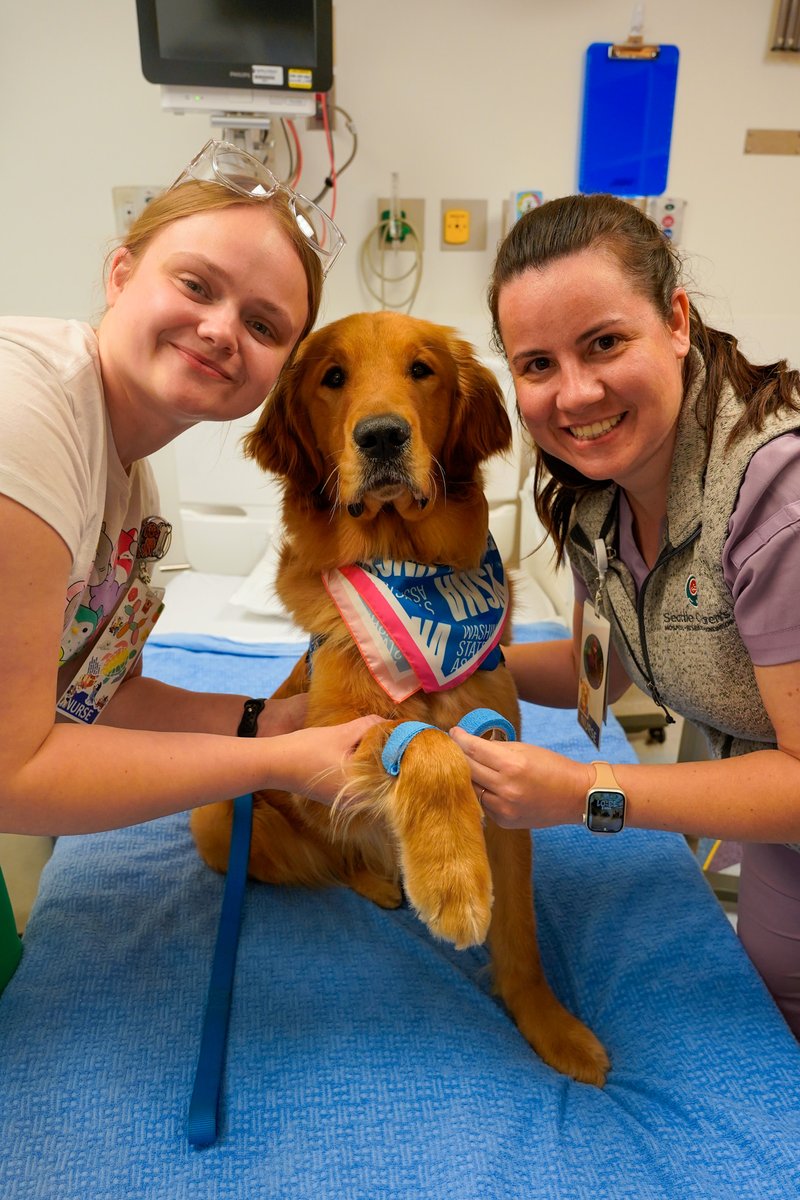 canineorg's tweet photo. 🐾 August is #NationalDogMonth! The human-canine bond is such an incredible relationship, and #dogs bring joy, companionship and countless unforgettable moments to our lives. 🐶  

#dog #servicedog #facilitydog #therapydogs https://t.co/X2HiopiNrg