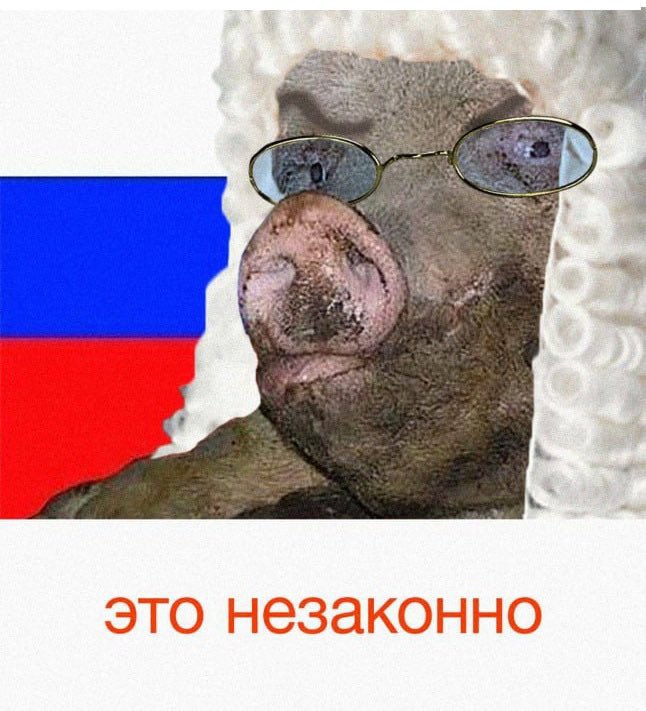 Yuzovskyi's tweet photo. @KurakinEgor https://t.co/k5qTyc2c9B
