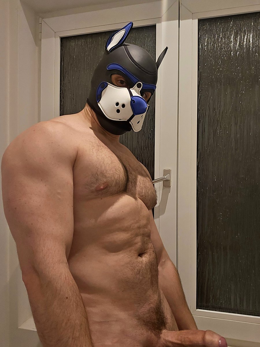 PupBuday's tweet photo. Thick boy 😈 https://t.co/9kc0BjIeVF