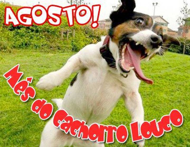 izoxbigode's tweet photo. https://t.co/Rc9YHbwDHz