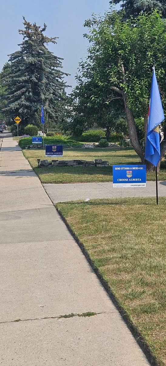 CoryBMorgan's tweet photo. Let's make every street look like this by mid-October 

https://t.co/NuD3pZH2US https://t.co/qwcuwsIIrt