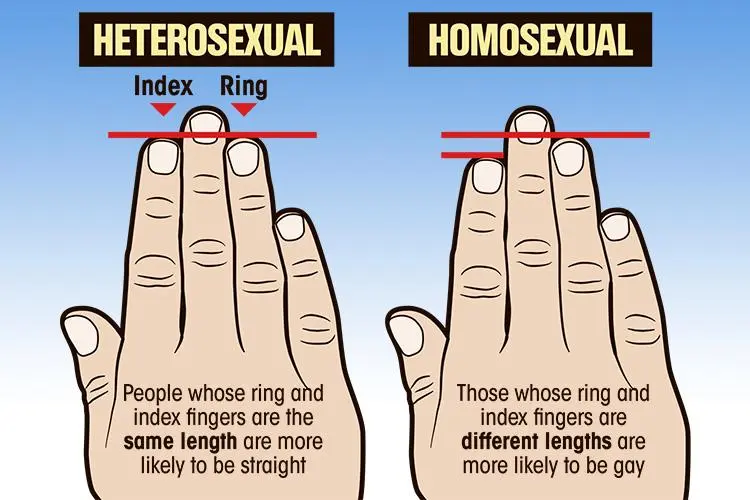 HeloiseDePierre's tweet photo. I *DO* have queercoded hands though.... https://t.co/34WSwT1xSH