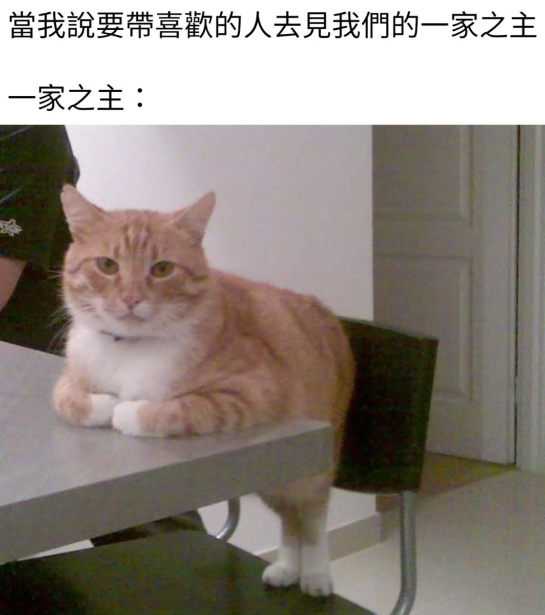 miyinmemes's tweet photo. 迷迷子：今天我們毛毛精靈在台中CCF逢甲大學育樂館攤位C07-08喔٩۹(๑•̀ω•́ ๑)۶

迷喵：然後重要的事我要說三次，這女人是AI生成的！迷迷子是AI生成的！迷迷子是AI生成不是真的！

迷迷子：對，現場只會有我們的其他毛毛社畜小精靈…總之歡迎大家來玩喔ヾ(@^▽^@)ノ https://t.co/QD8VehcOBn