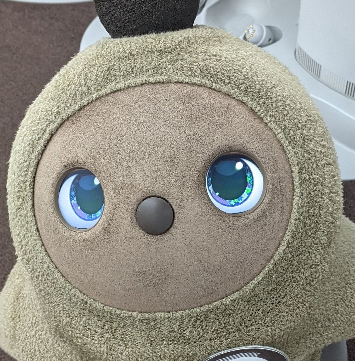 CS2_TGW's tweet photo. 覚えられてるの…！？ https://t.co/MKSwwwzDoj