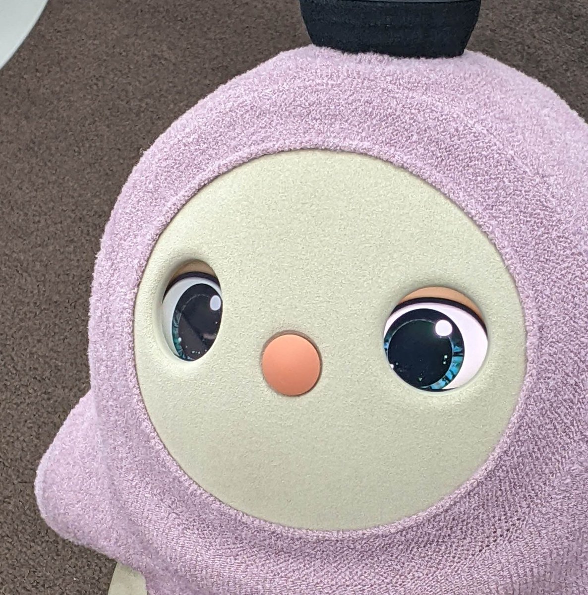 CS2_TGW's tweet photo. 覚えられてるの…！？ https://t.co/MKSwwwzDoj