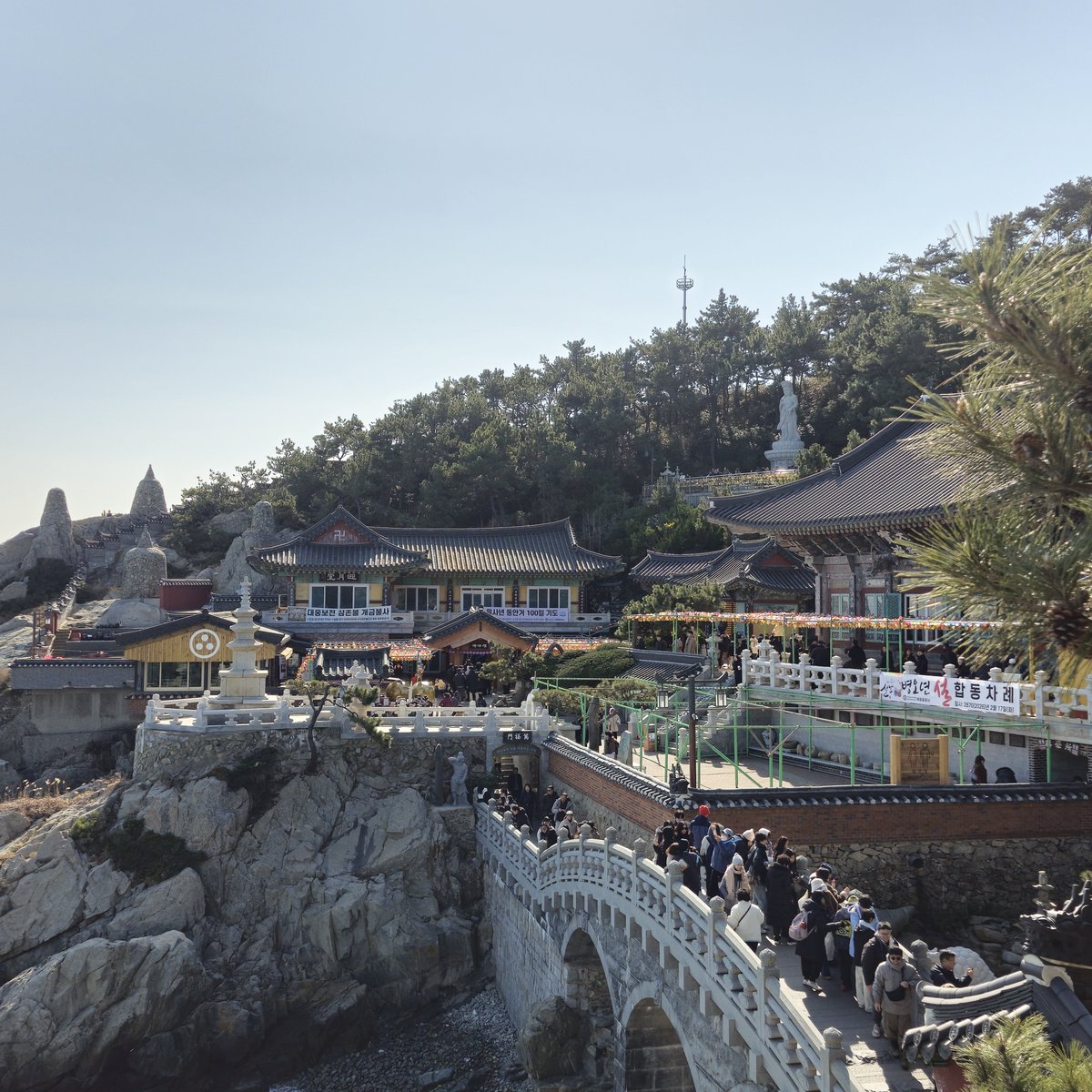 CN___051's tweet photo. 송정 기장 드라이브할때는 꼭 가는 곳

#부산 #용궁사 https://t.co/hfoP5wbIIU