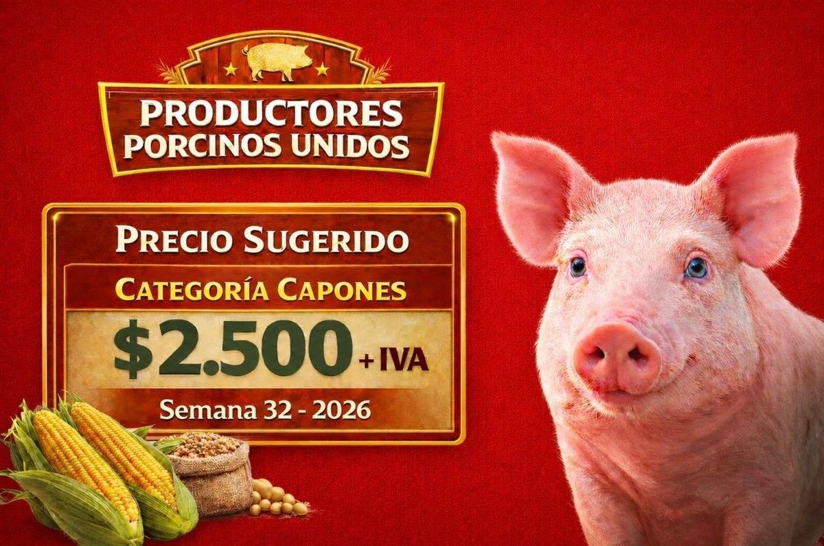 caPEMppor's tweet photo. PRECIO SUGERIDO 
Semana 32

Capón en pie
$2.500 + IVA https://t.co/nuZg0SF9pP
