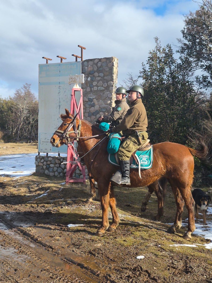 Carab_Aysen's tweet photo. Carabineros del Retén #LagoVerde (F), siguiendo las tradiciones institucionales y aprovechando la versatilidad de los caballares, realiza patrullajes montados en el límite de territorio, previniendo:
✅Contrabando
✅Ingreso irregular de personas
✅Ingreso de sustancias ilícitas https://t.co/L02MXBJ1RV