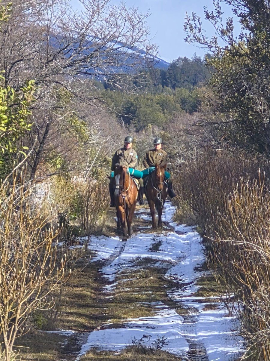 Carab_Aysen's tweet photo. Carabineros del Retén #LagoVerde (F), siguiendo las tradiciones institucionales y aprovechando la versatilidad de los caballares, realiza patrullajes montados en el límite de territorio, previniendo:
✅Contrabando
✅Ingreso irregular de personas
✅Ingreso de sustancias ilícitas https://t.co/L02MXBJ1RV