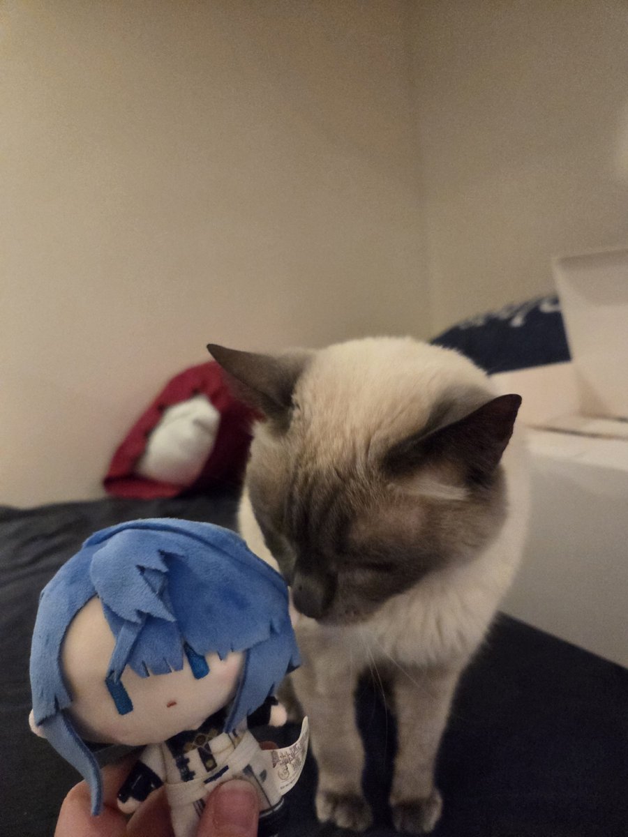 _ko_koko's tweet photo. Touya likes riku https://t.co/2XDLEwhvfe