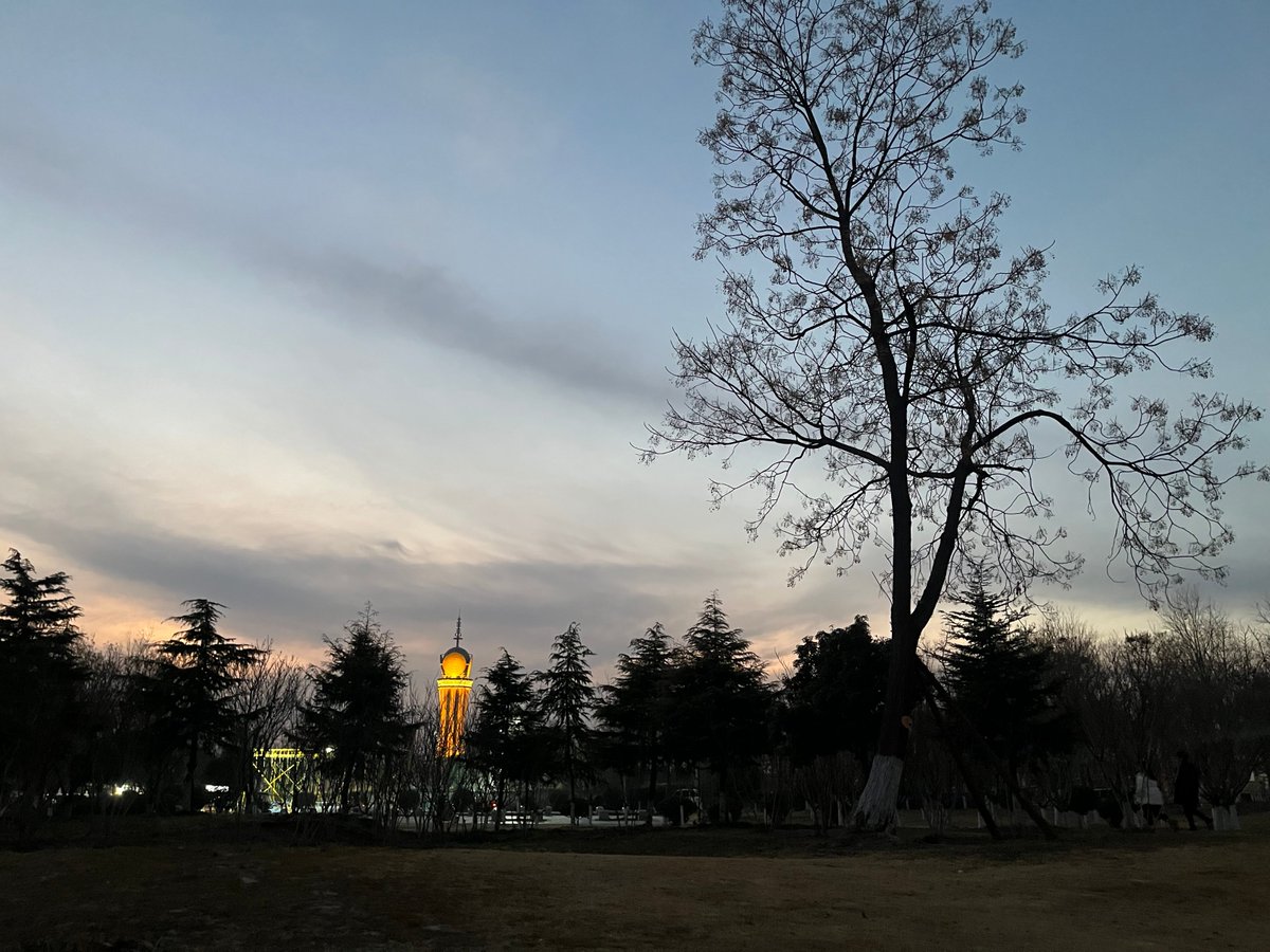 h3tVPO0II7cxSo9's tweet photo. 今日立秋，风里带了点桂花的甜意，傍晚散步都觉脚步轻 https://t.co/S2gxWtgxVW