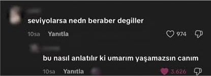 user tweet media