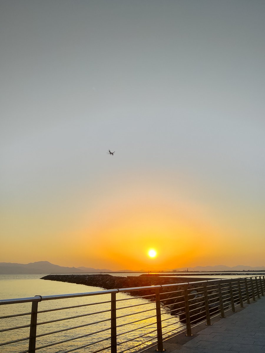 _NurseMay's tweet photo. Hudson's photos are in palette with the pictures I took this evening 🥹 https://t.co/SMWqZUPrke