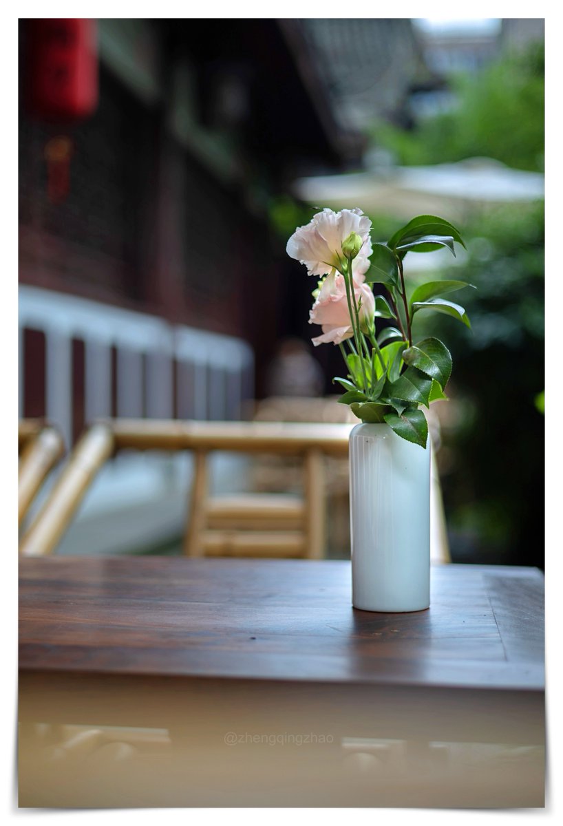 JackieColl28377's tweet photo. New to photography Start here: use natural light near windows, keep your first shots simple (like a mug or plant), and don’t stress over fancy gear—your phone works great! https://t.co/OIgTFAgjAp