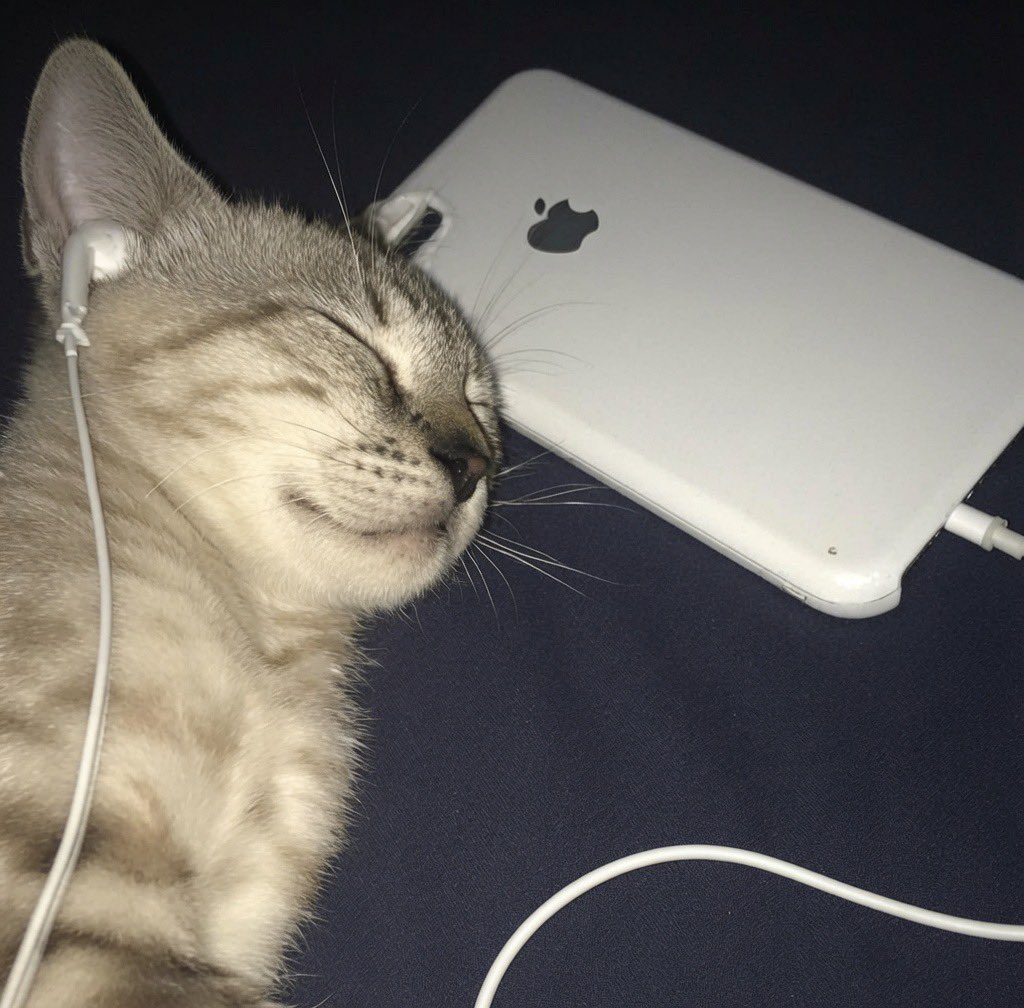 azmialsanjr's tweet photo. Müzik hayattır https://t.co/XKAKcZpYCL