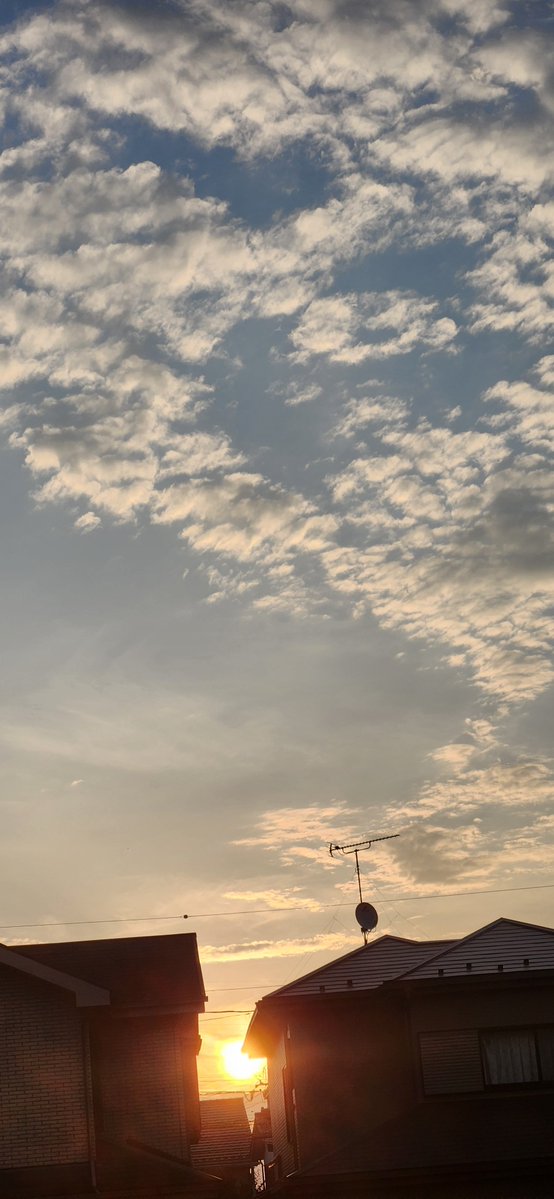mmieprokobiti07's tweet photo. #いまそら
#イマソラ
今日は晴れのち雨☀️→☔
最高気温は36度です
今日はカレーうどんの日です
今日のお勧めは #4年2組 の #BeWild‼です
https://t.co/CrG4cBaLsj https://t.co/YN4FNuXzK4