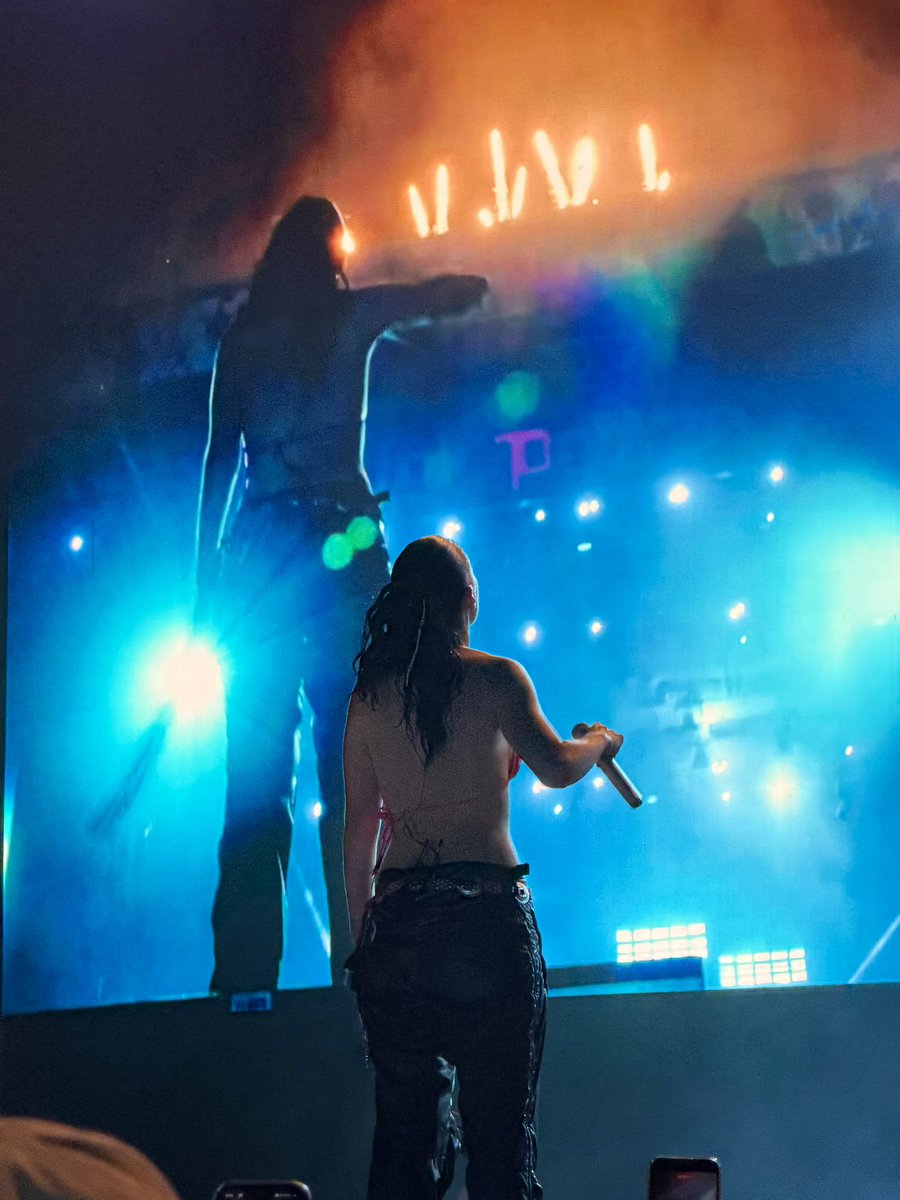ameliabiIity's tweet photo. These photos I got of Lorde looking at the fireworks… chills https://t.co/OtyKwlYirJ