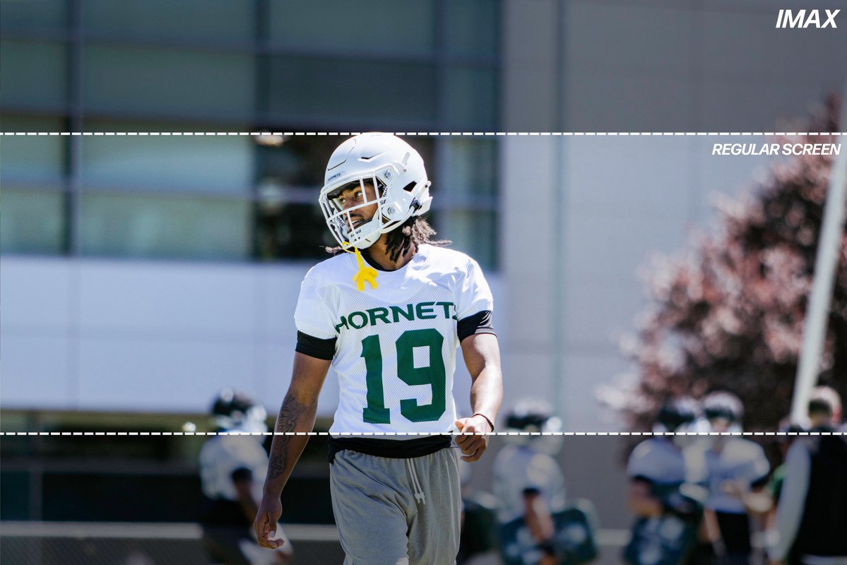 SacHornetsFB's tweet photo. 𝘽𝙀𝙏𝙏𝙀𝙍 𝙄𝙉 𝙄𝙈𝘼𝙓 🎞️

#StingersUp | #GreenLine | #ZoTime https://t.co/cb974qcR2Y