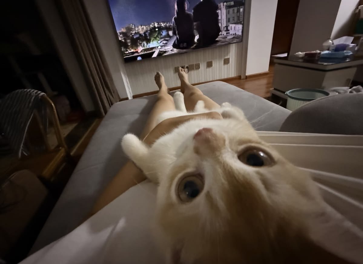 gatinarios's tweet photo. pov https://t.co/D0GSUBjX3K