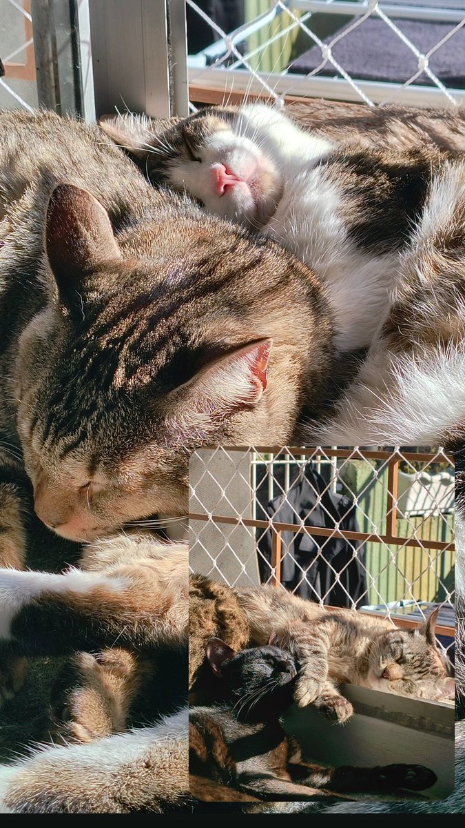 Red_LyneA's tweet photo. Solzinho mamãe 🥰 https://t.co/OwGFR51bAA