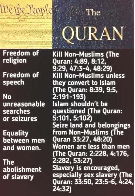 RaithRoguestar's tweet photo. @elonmusk Islam is not a race! STOP IT! It is an evil belief system bent on global domination and either murder or complete subjugation of everyone who does not accept it. https://t.co/OMwiRqC7NO