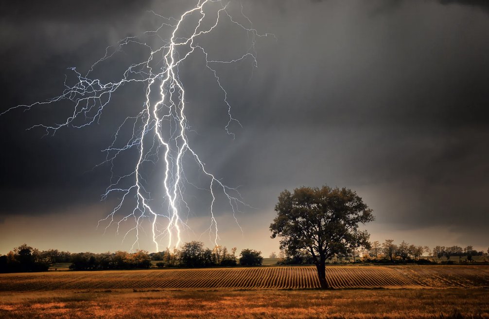 goff_jerry68345's tweet photo. @brithume Britt, Have you read the bill? It requires too much paperwork for the voters. And noncitizens don't vote anyway. There is a higher probability that a noncitizen will be struck by lightning than try to vote in a national election. https://t.co/pg8k4dHE33