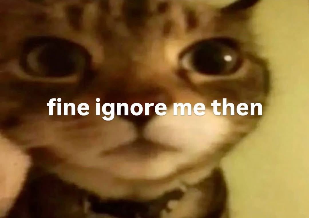 Cats Out Of Context tweet media