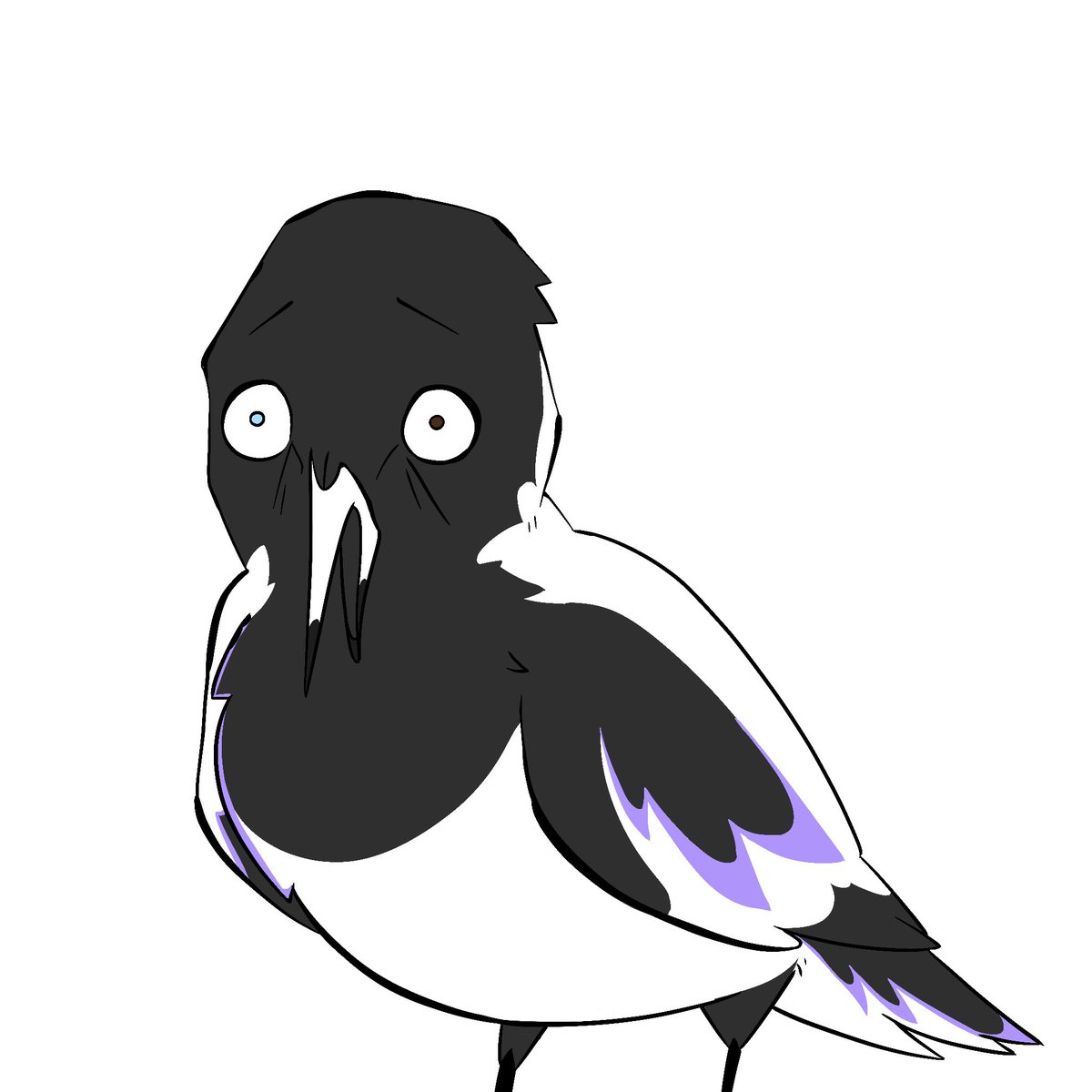 ~Magpie~ tweet media