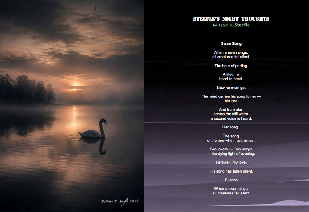 steefle's tweet photo. Steefle’s Night Thoughts  

'Swan Song'   

#NightThoughts #art #poetry #poems #poet #Author #PoetryCommunity #PoetryLovers #words #Writerslife #LateNightPoetry #WordsOfLove #haiku #senryu #PoemsForYou #Steefle https://t.co/mP9IL63XeV