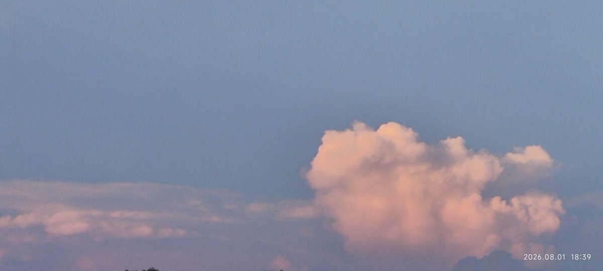 smallpig647448's tweet photo. https://t.co/KnvU7Y3cf9