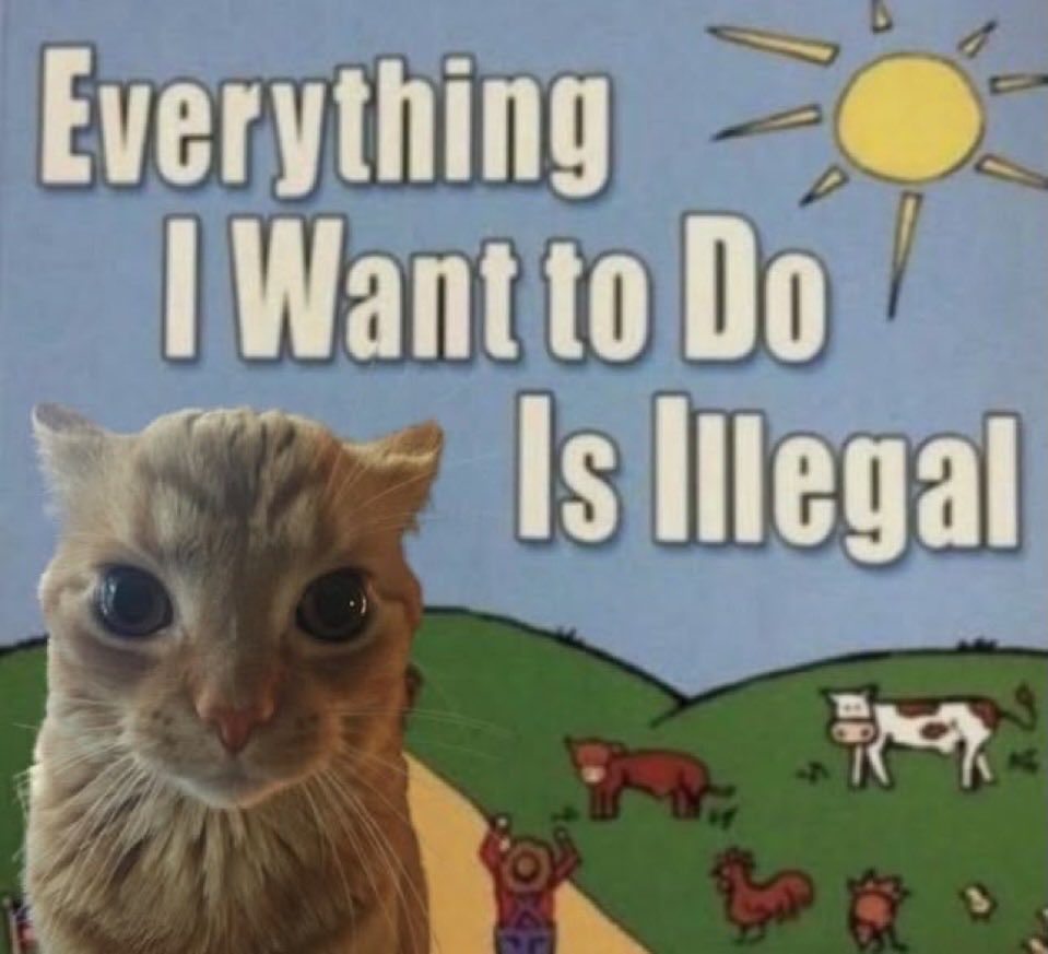 literallymecats's tweet photo. https://t.co/XaQZM0mBBl