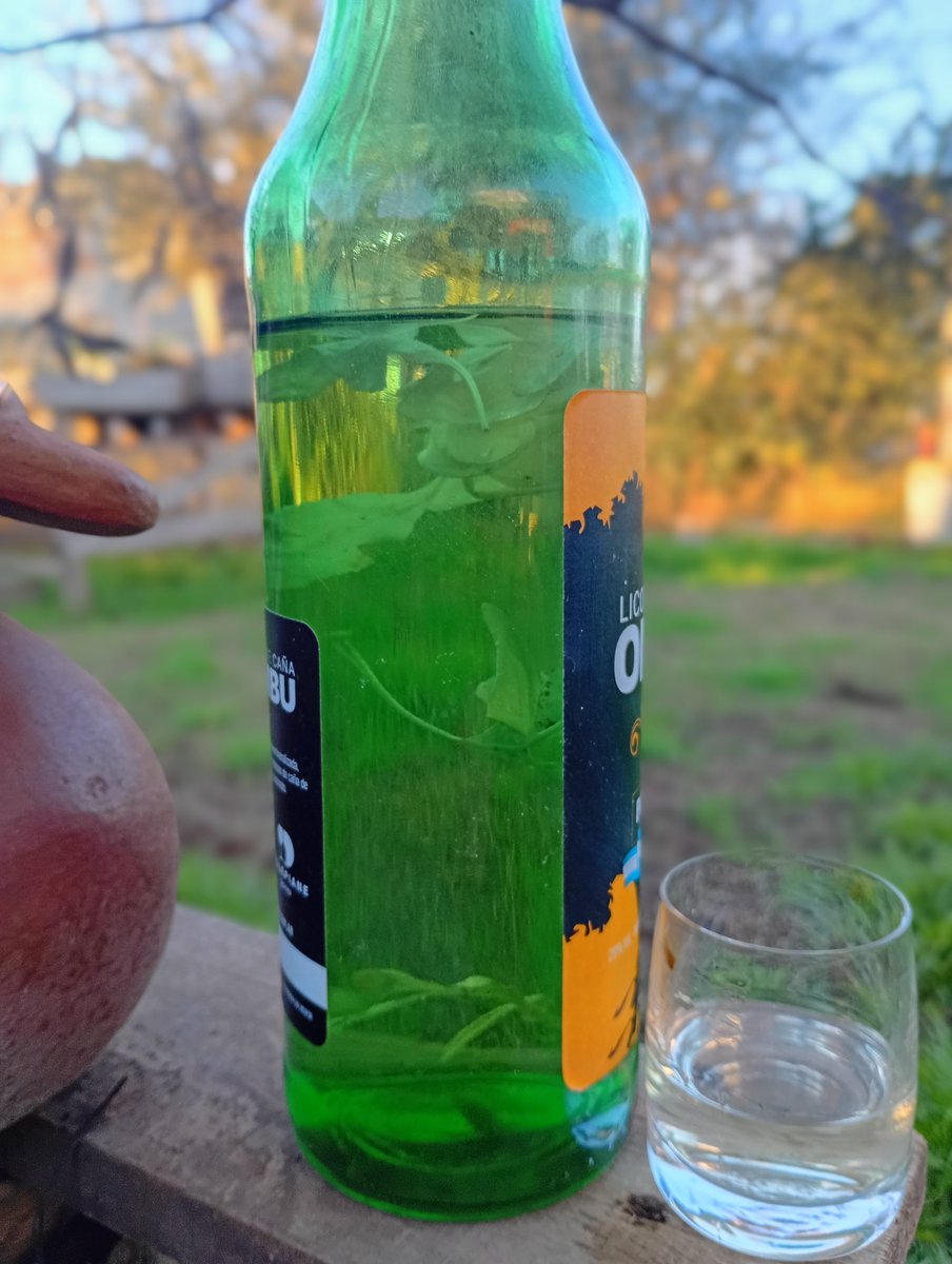 EnryArgento's tweet photo. Tomaste tu cañita con ruda hoy? https://t.co/VwwtRcbcmZ